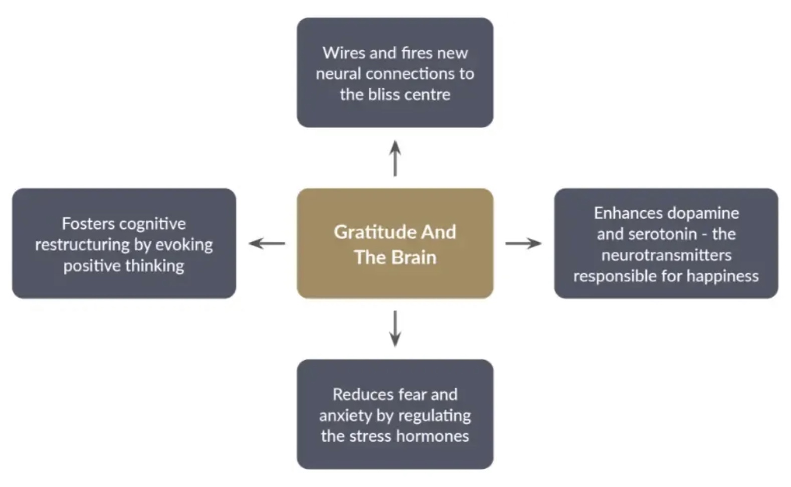 Gratitude Makeover & The Brain